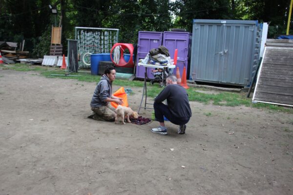 IMG_9083 IMG_9083
