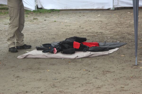 IMG_9103 IMG_9103