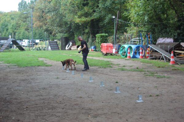 IMG_9113 IMG_9113