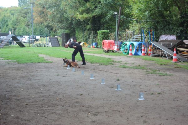 IMG_9114 IMG_9114